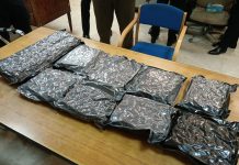 රුපියල් මිලියන තිස්හතරකට අධික කුෂ් තොගයක් සමග පුද්ගලයකු රේගු දැලේ…